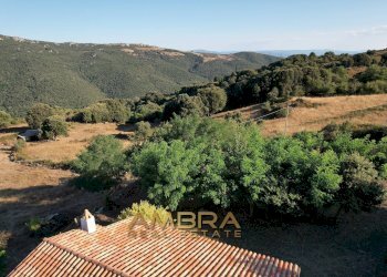 Foto 10 - Rustico Oschiri - foto 10