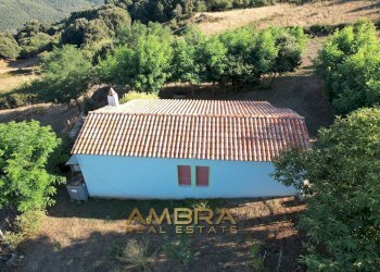 Foto 11 - Rustico Oschiri - foto 11