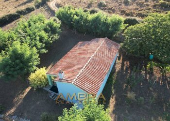 Foto 12 - Rustico Oschiri - foto 12