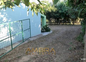 Foto 15 - Rustico Oschiri - foto 15