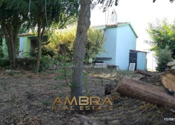 Foto 16 - Rustico Oschiri - foto 16