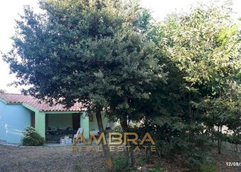 Foto 18 - Rustico Oschiri - foto 18