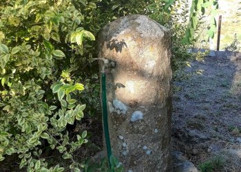 Foto 19 - Rustico Oschiri - foto 19