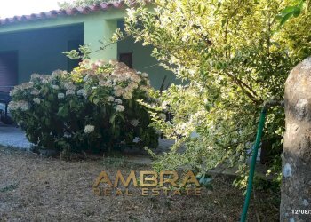 Foto 20 - Rustico Oschiri - foto 20