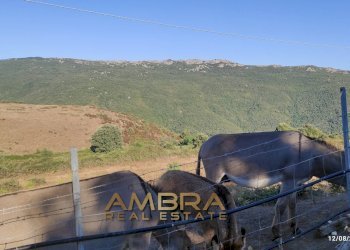 Foto 24 - Rustico Oschiri - foto 24