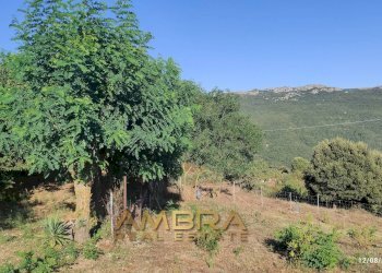 Foto 25 - Rustico Oschiri - foto 25