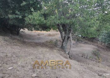 Foto 27 - Rustico Oschiri - foto 27