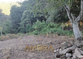 Foto 29 - Rustico Oschiri - foto 29