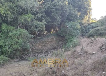 Foto 30 - Rustico Oschiri - foto 30