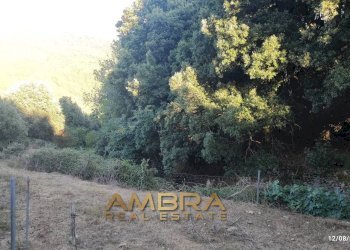 Foto 31 - Rustico Oschiri - foto 31