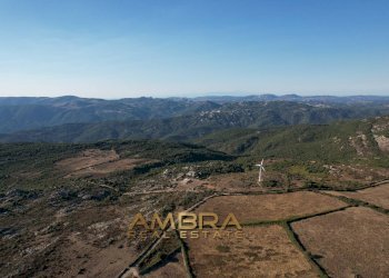 Foto 33 - Rustico Oschiri - foto 33