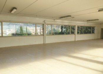 Foto 5 - Magazzino via dei Metalmeccanici, Camaiore - foto 5