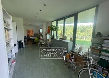 Foto 1 - Capannone via dei Carpentieri, Camaiore - foto 1