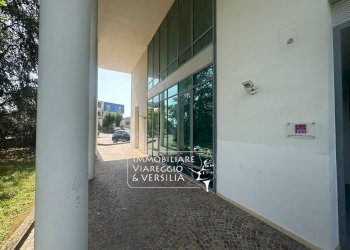 Foto 24 - Capannone via dei Carpentieri, Camaiore - foto 23