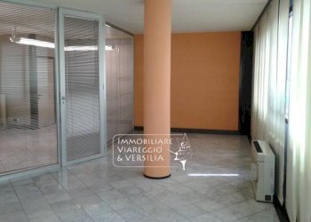 Foto 1 - Capannone via Tobino, Viareggio - foto 1