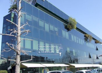 Foto 35 - Capannone via Tobino, Viareggio - foto 35