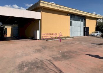 Esterno capannone - Magazzino via dei falegnami, Camaiore - foto 3