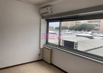 Foto 3 - Capannone Largo Risorgimento, Viareggio - foto 3