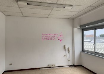 Foto 5 - Capannone Largo Risorgimento, Viareggio - foto 5