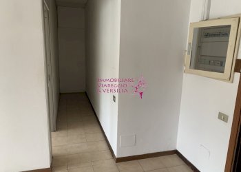 Foto 8 - Capannone Largo Risorgimento, Viareggio - foto 8