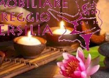 Foto 3 - Commercial Activity viale Alfredo Belluomini
 
5, Viareggio - photo 3