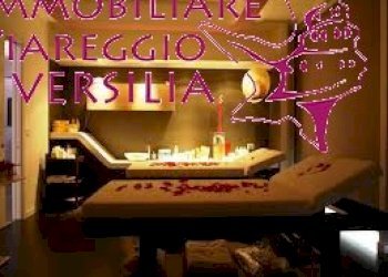 Foto 4 - Commercial Activity viale Alfredo Belluomini
 
5, Viareggio - photo 4