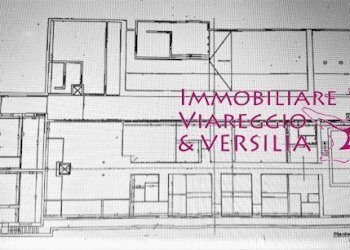 Foto 5 - Commercial Activity viale Alfredo Belluomini
 
5, Viareggio - photo 5