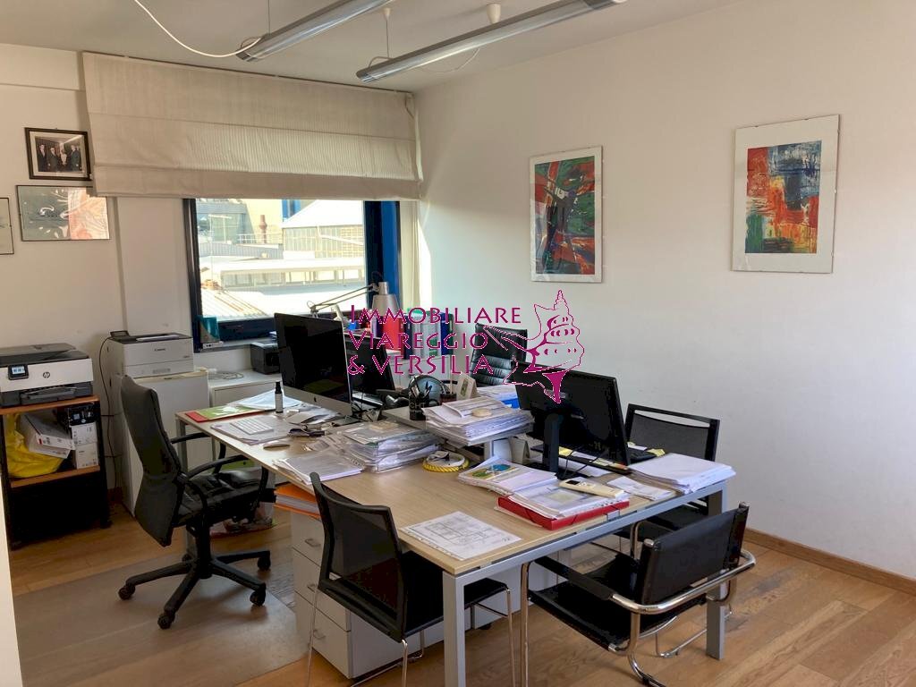 Foto 2 - Capannone via Coppino
 
100, Viareggio - foto 2