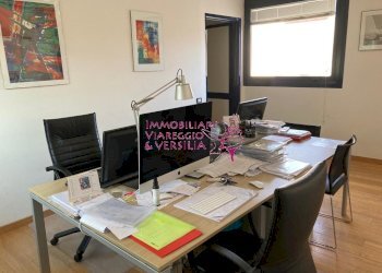 Foto 9 - Capannone via Coppino
 
100, Viareggio - foto 9