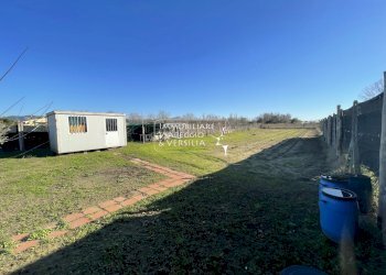 Foto 4 - Terreno agricolo Viareggio - foto 4