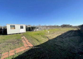 Foto 6 - Terreno agricolo Viareggio - foto 6