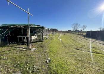 Foto 7 - Terreno agricolo Viareggio - foto 7