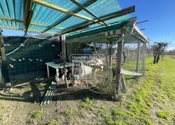 Foto 8 - Terreno agricolo Viareggio - foto 8