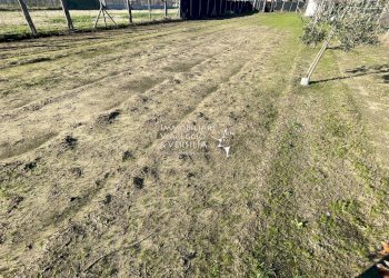 Foto 9 - Terreno agricolo Viareggio - foto 9