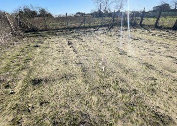 Foto 10 - Terreno agricolo Viareggio - foto 10