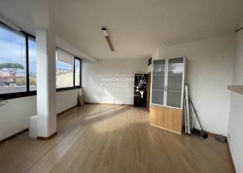 Foto 3 - Capannone via della Vetraia
 
3, Viareggio - foto 2