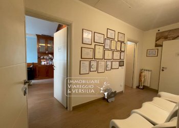 Foto 10 - Capannone Via S. Francesco
 
70, Viareggio - foto 10