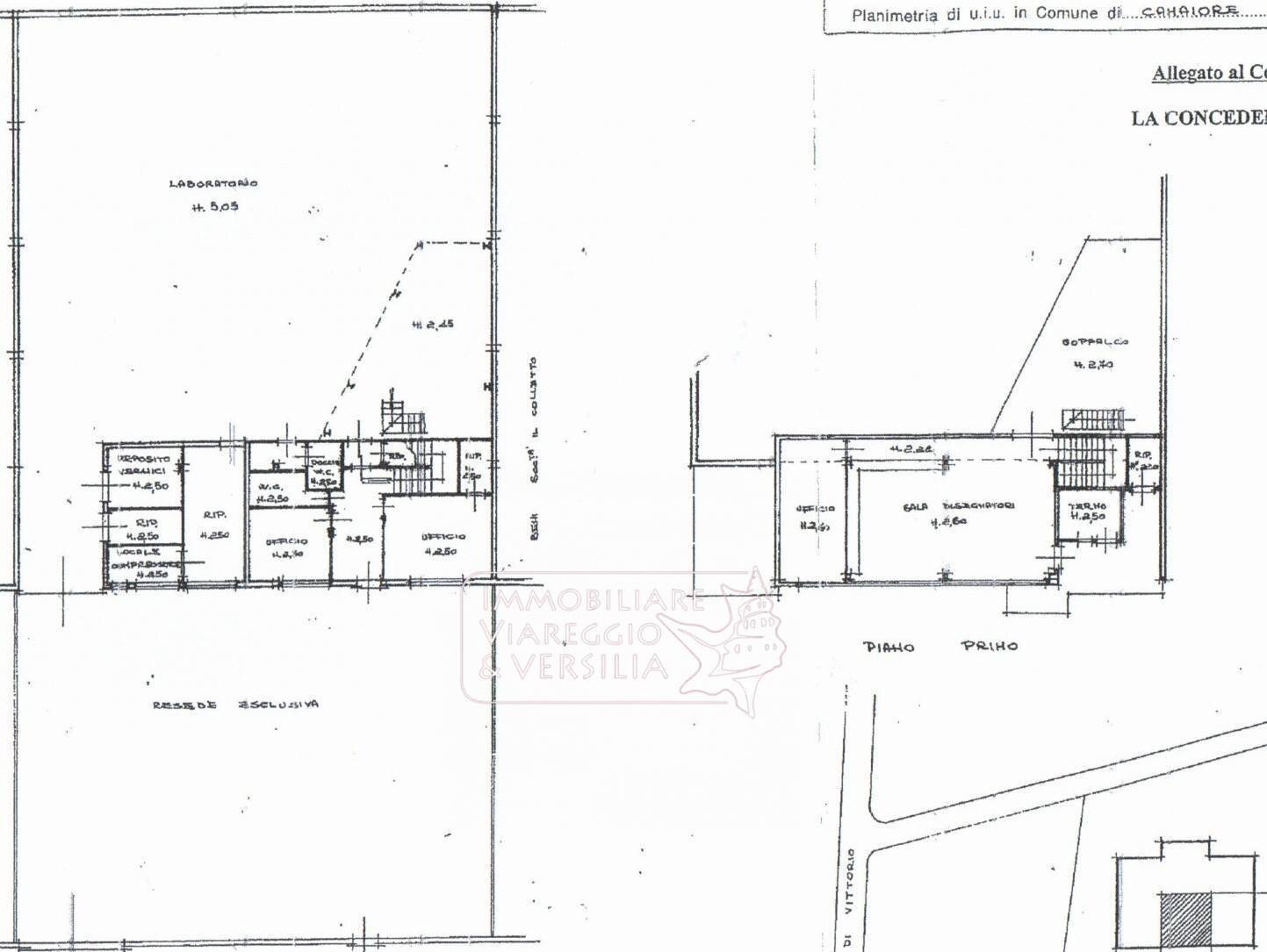 Foto 25 - Laboratorio via dei Metalmeccanici, Camaiore - planimetria 1