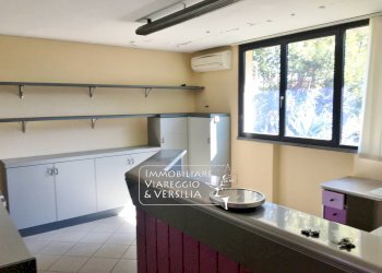 Foto 6 - Laboratorio via dei Metalmeccanici, Camaiore - foto 6