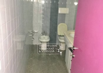 Foto 8 - Laboratorio via dei Metalmeccanici, Camaiore - foto 8