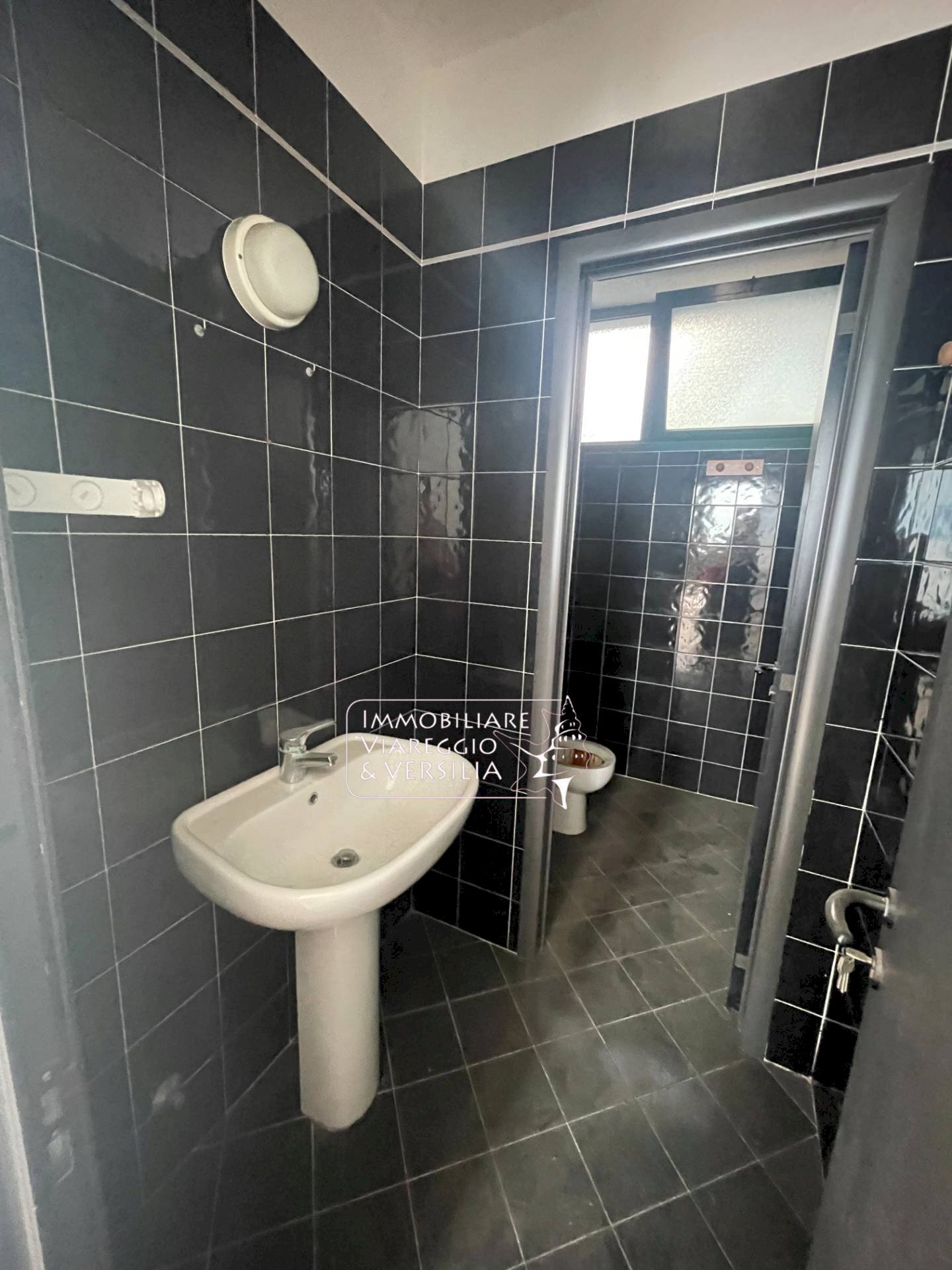 Foto 3 - Locale Commerciale via Tobino
6, Viareggio - foto 3