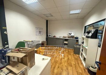 Foto 5 - Laboratorio via Libeccio
 
100, Viareggio - foto 5