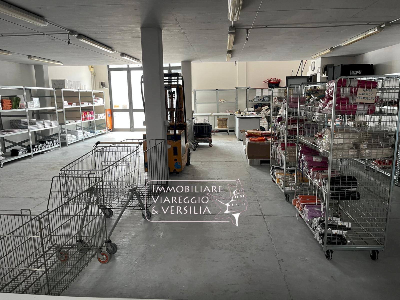 Foto 3 - Warehouse via dei Peecchi, Viareggio - photo 3