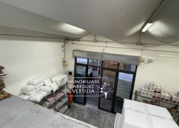 Foto 4 - Warehouse via dei Peecchi, Viareggio - photo 4