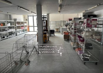 Foto 3 - Warehouse via dei Peecchi, Viareggio - photo 3