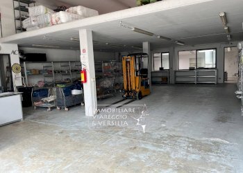 Foto 14 - Warehouse via dei Peecchi, Viareggio - photo 13