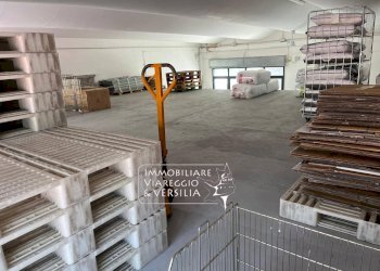 Foto 15 - Warehouse via dei Peecchi, Viareggio - photo 14