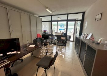 Foto 1 - Capannone via Fratelli Rosselli
 
5, Camaiore - foto 1