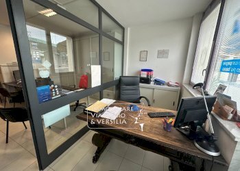 Foto 5 - Capannone via Fratelli Rosselli
 
5, Camaiore - foto 5