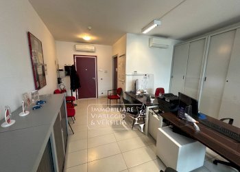 Foto 6 - Capannone via Fratelli Rosselli
 
5, Camaiore - foto 6